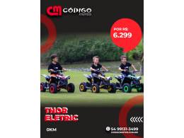 MXF - THOR ELETRIC - 2026/2026 - Verde - R$ 6.299,00