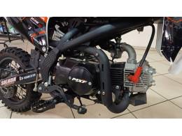 MXF - 110 - 2024/2024 - Cinza - R$ 9.990,00